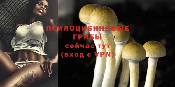 стаф Алексин