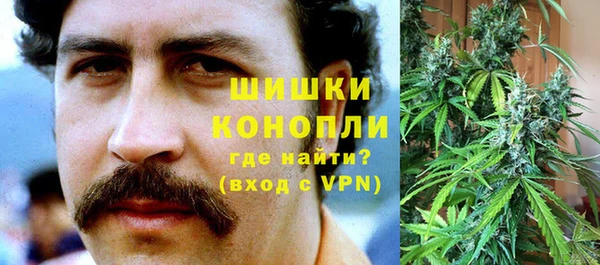 индика Алексеевка
