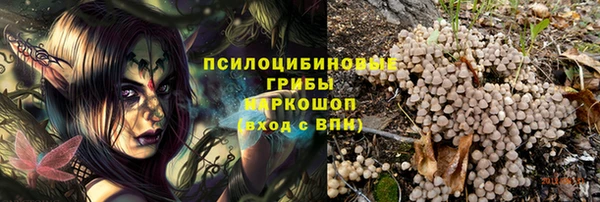 стаф Алексин